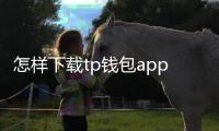 怎样下载tp钱包app:从零到上手的全流程