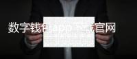 数字钱包app下载官网：开启无缝支付的新纪元