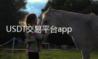 USDT交易平台app下载：全方位解密与易用下载指南