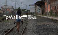 TpWallet苹果端官网下载指南：畅享安全便捷的数字资产管理