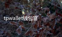 tpwallet钱包官网下载：安全守护与极致体验的数字钱包新玩法