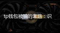 tp钱包被骗的套路：识别伎俩、守护资产的实用指南