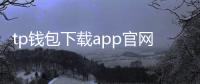 tp钱包下载app官网正版区块链:安全、便捷的数字资产管理新体验